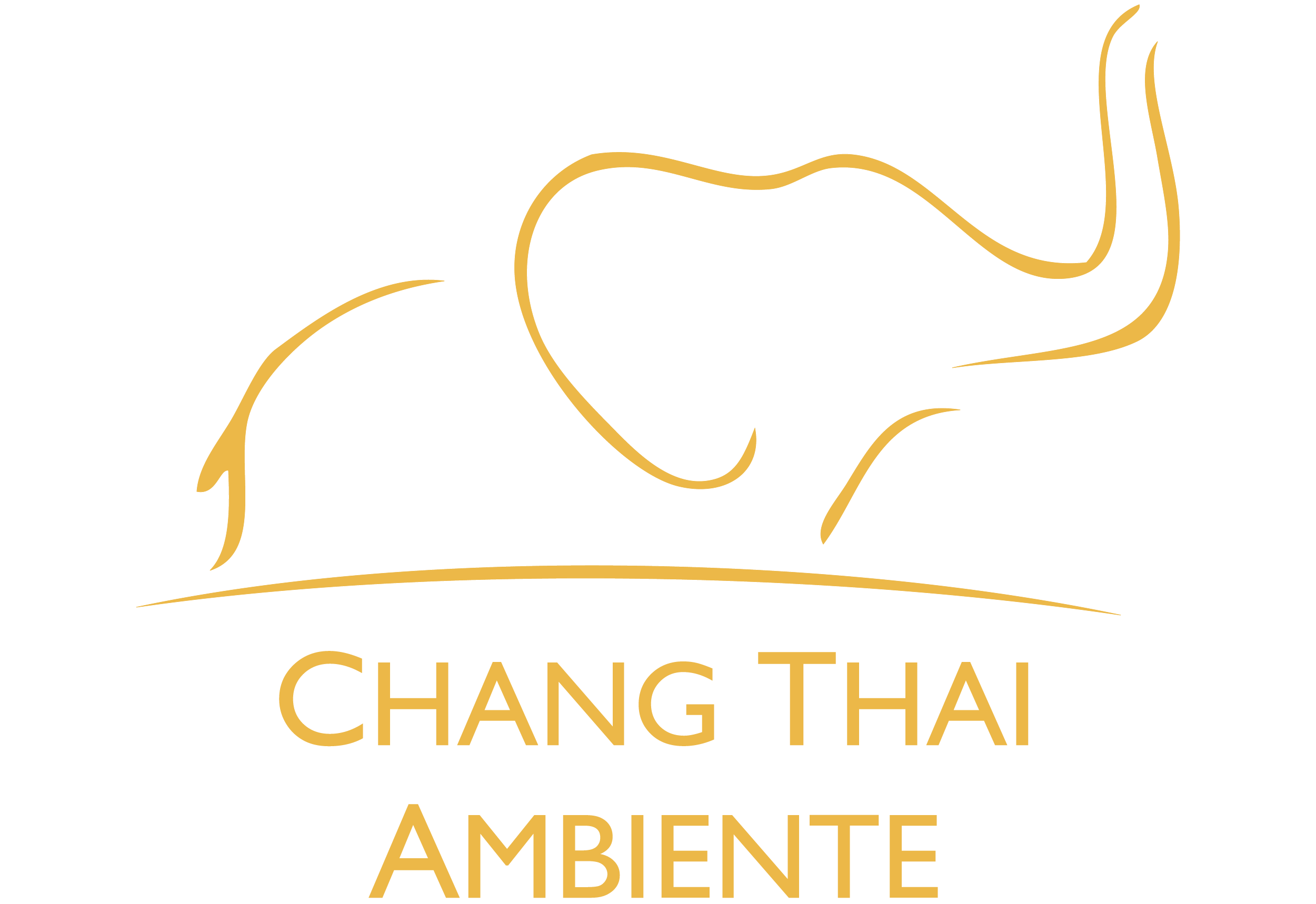 Chang Thai Ambiente